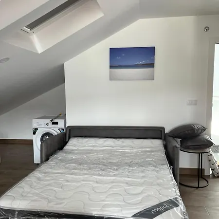 Vive * Laxe